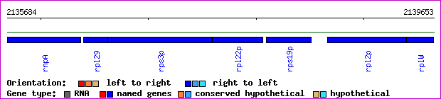 gene map