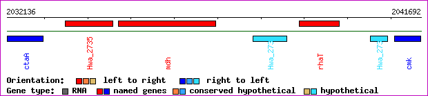 gene map