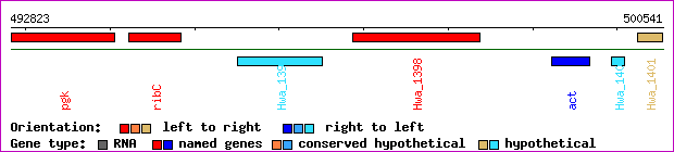 gene map