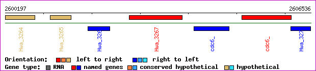 gene map
