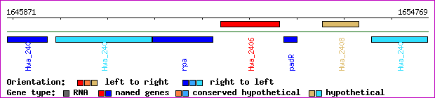 gene map