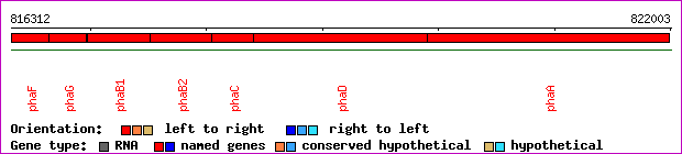 gene map