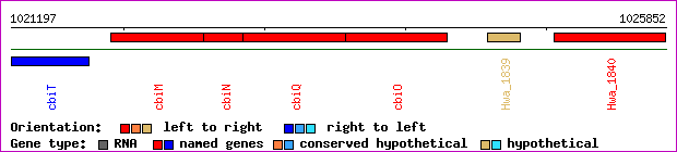 gene map