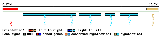 gene map