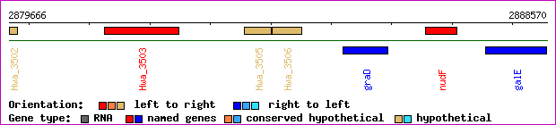 gene map