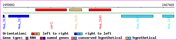 gene map