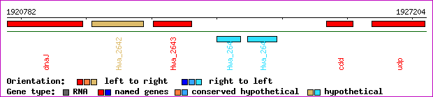 gene map