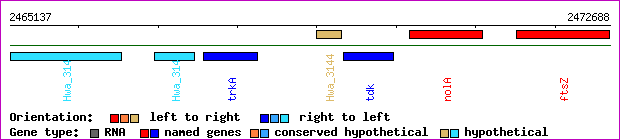 gene map
