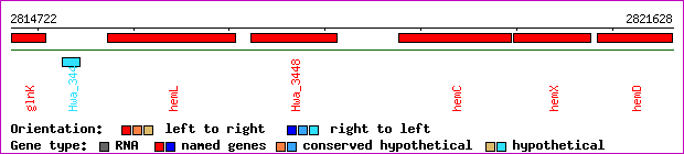 gene map