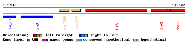 gene map