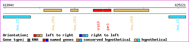 gene map