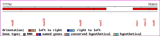 gene map