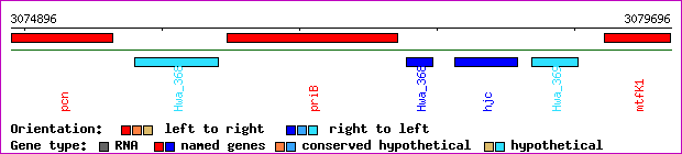 gene map