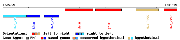 gene map