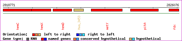 gene map