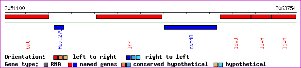 gene map