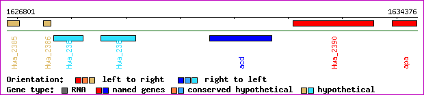 gene map