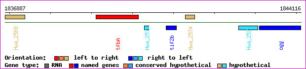 gene map