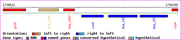 gene map