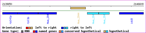 gene map