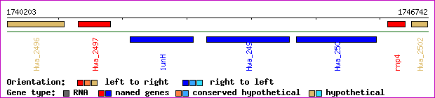 gene map