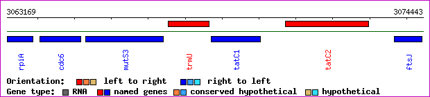 gene map