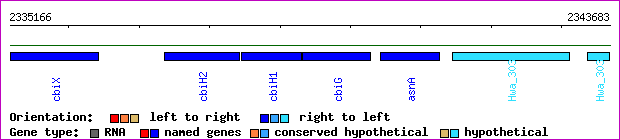 gene map