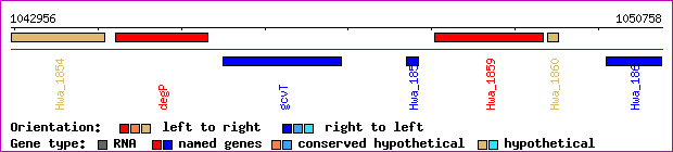 gene map