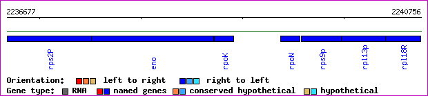 gene map