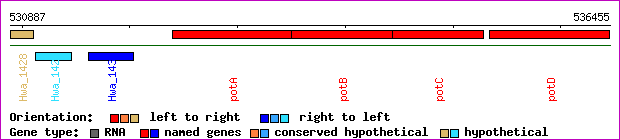 gene map