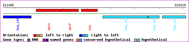 gene map