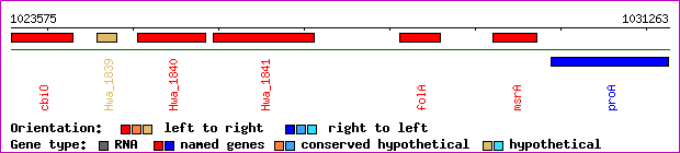 gene map