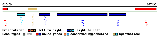 gene map