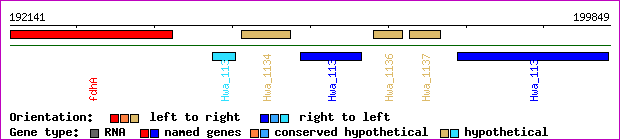 gene map