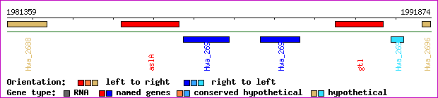 gene map