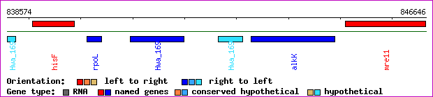 gene map