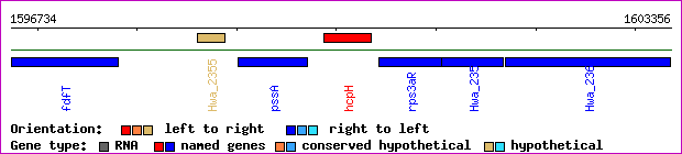 gene map