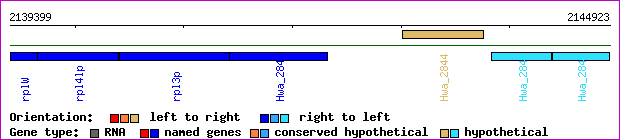 gene map