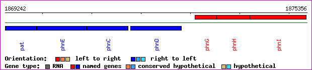 gene map