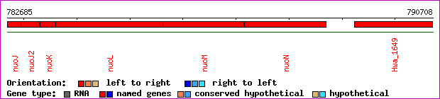 gene map