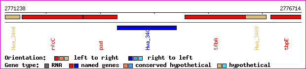 gene map