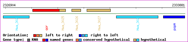 gene map