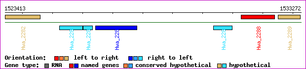gene map