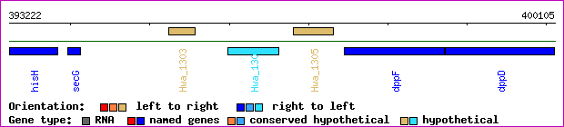 gene map