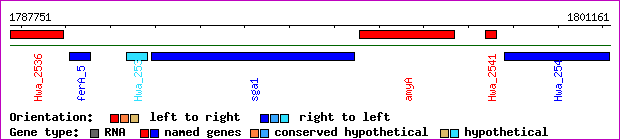 gene map