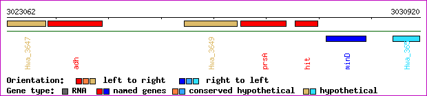 gene map