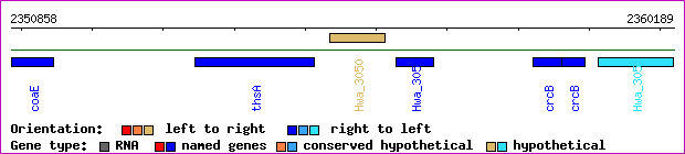 gene map