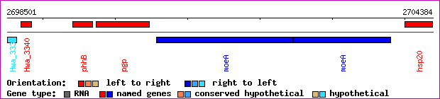 gene map
