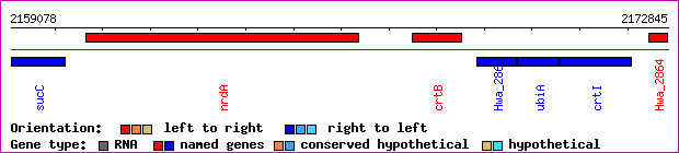 gene map