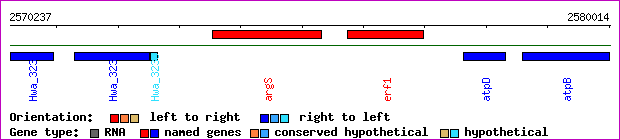 gene map